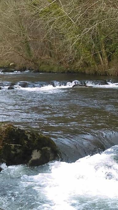 Stunning 3 Bed Riverside In Snowdonia Chalet