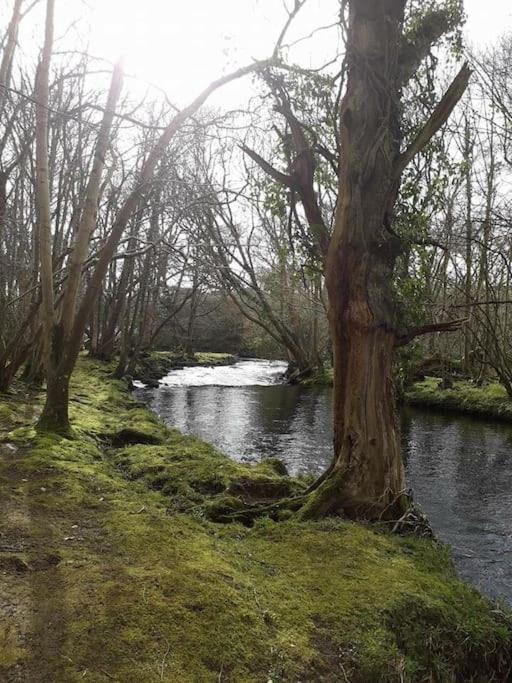 Шале Stunning 3 Bed Riverside In Snowdonia *