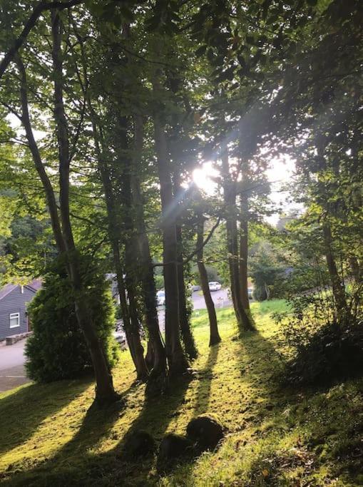 Шале Stunning 3 Bed Riverside In Snowdonia Caeathro